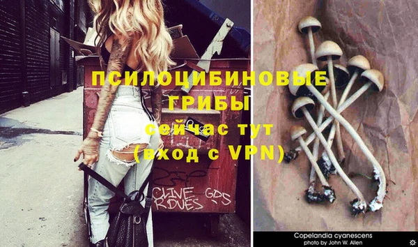 прущая мука Волосово