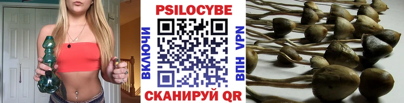 Купить Михайлов Галлюциногенные грибы MAGIC MUSHROOMS